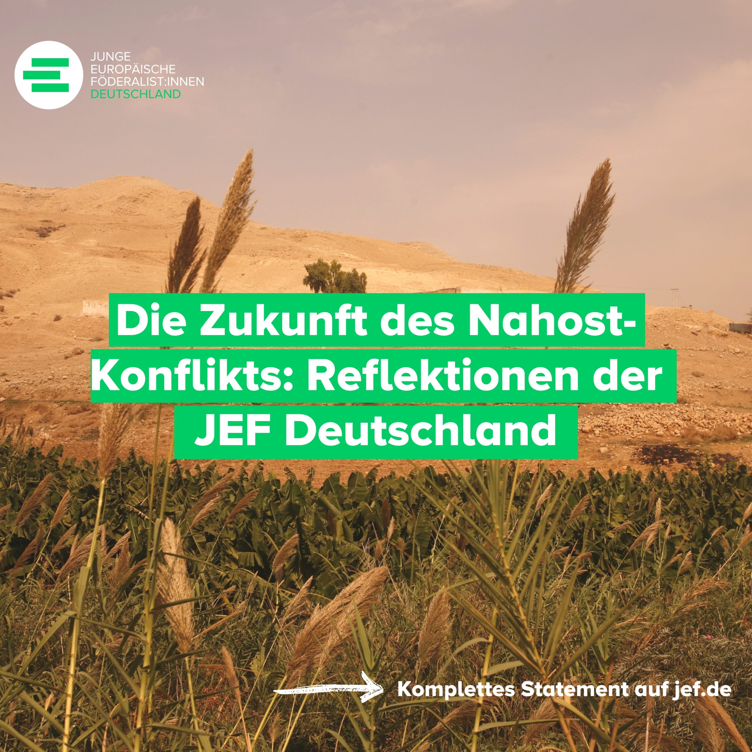 Die Zukunft des Nahost-Konflikts: Reflektionen der JEF Deutschland // The future of the Middle East conflict: reflections by JEF Germany